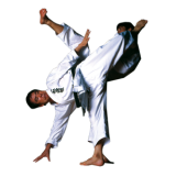 karate---shotokan.png
