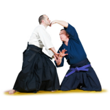 aikido.png