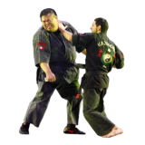 kajukenbo.png