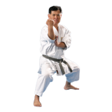 karate---isshin-ryu