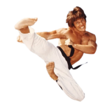 karate---joe-lewis