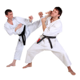 karate---kumite.png