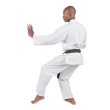 karate---shito-ryu.png