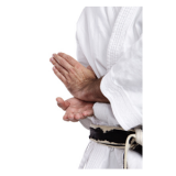 karate---uechi-ryu.png