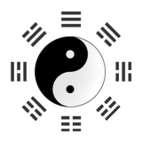 kung-fu---bagua-zhang.png